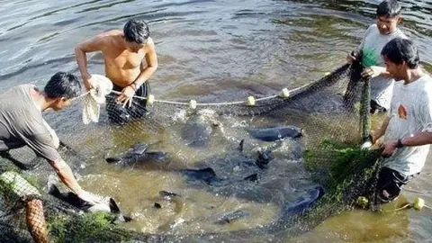 Foto: dorganizacionaluni.blogspot.pe