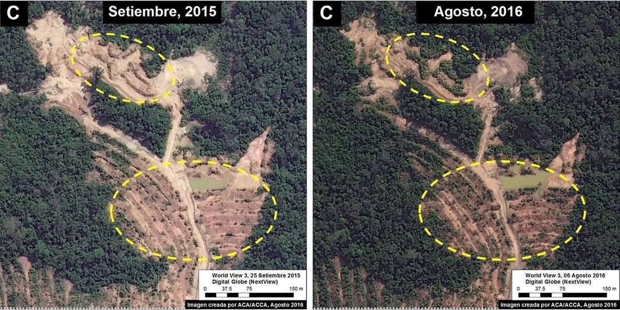 amarak_recovery_d_m_v1