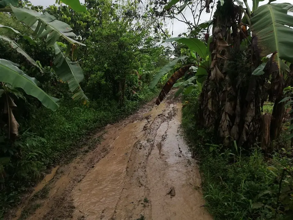 Foto: Municipalidad Provincial de Tambopata.