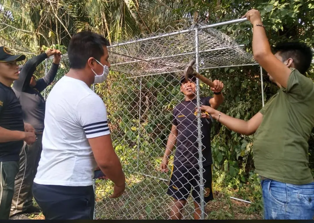 Foto: Gerencia regional Forestal y de Fauna Silvestre de Madre de Dios.