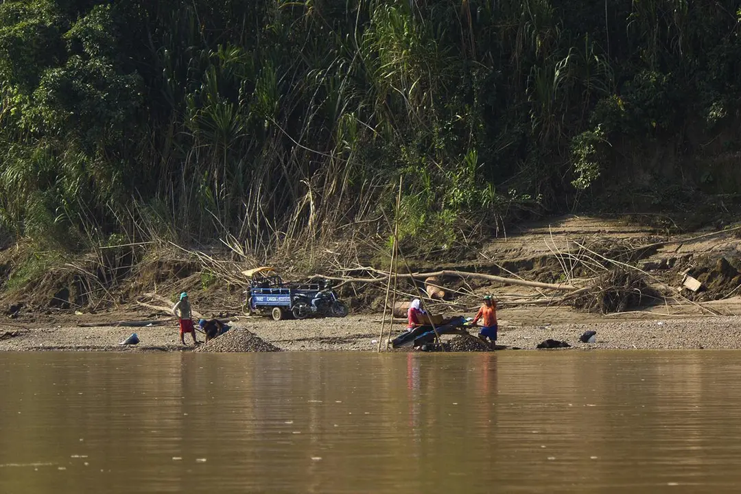 Foto: Actualidad Ambiental