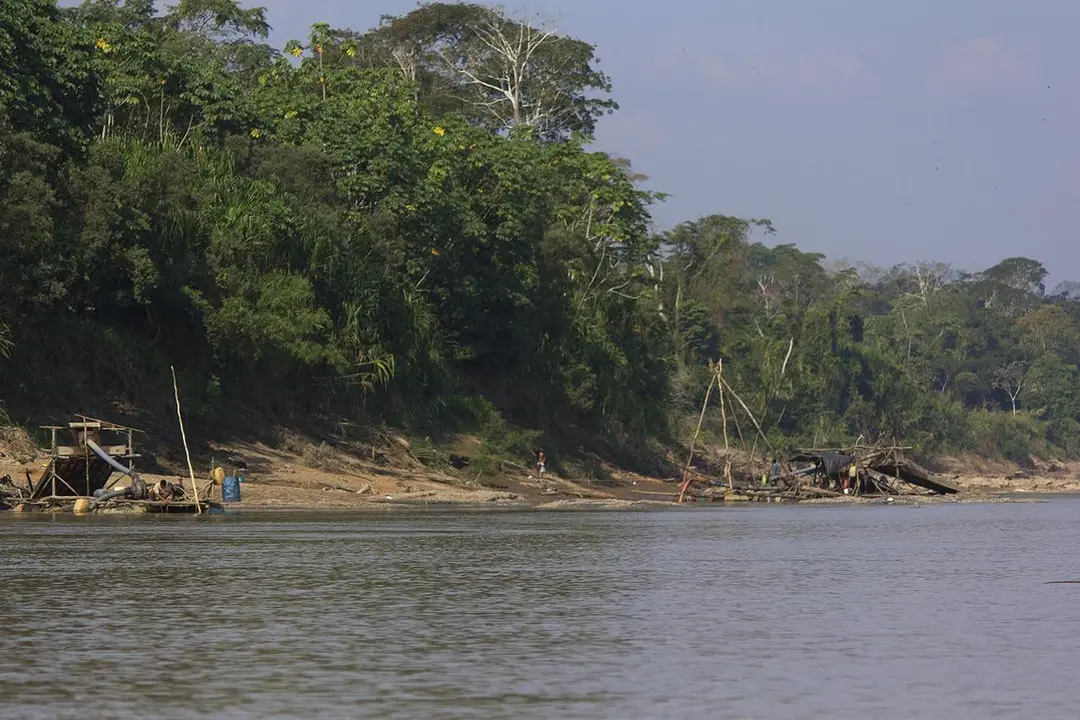 Foto: Actualidad Ambiental
