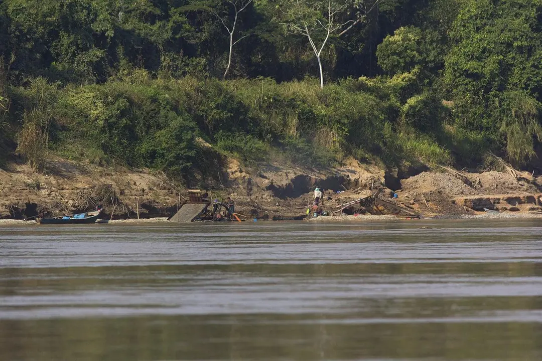 Foto: Actualidad Ambiental