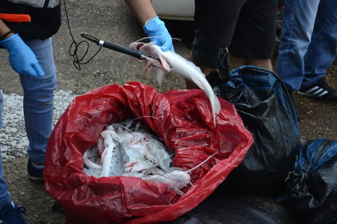 Fuente: Radio Madre de Dios.