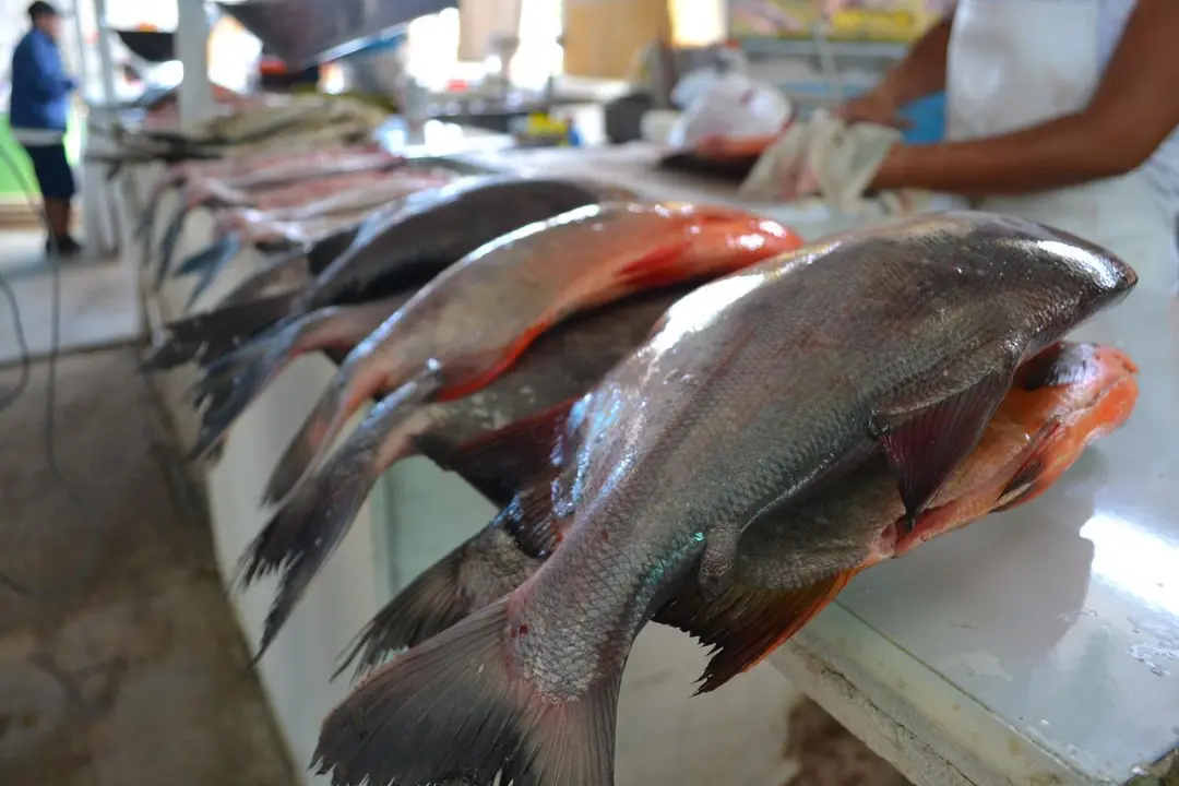 Fuente: Radio Madre de Dios.