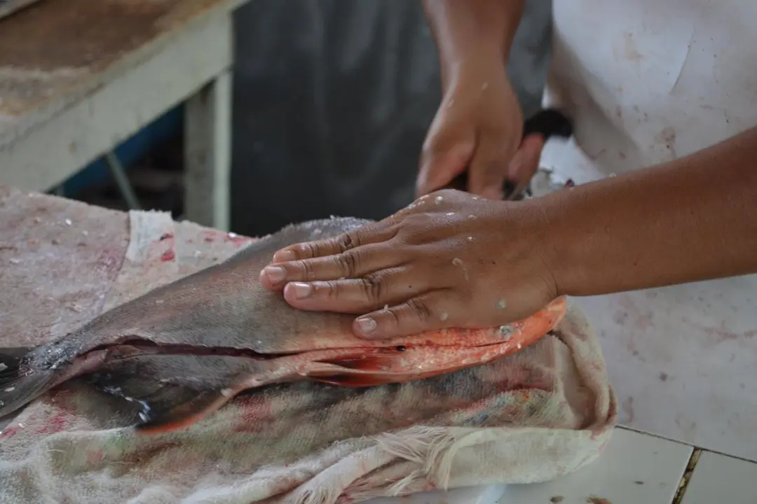 Fuente: Radio Madre de Dios.