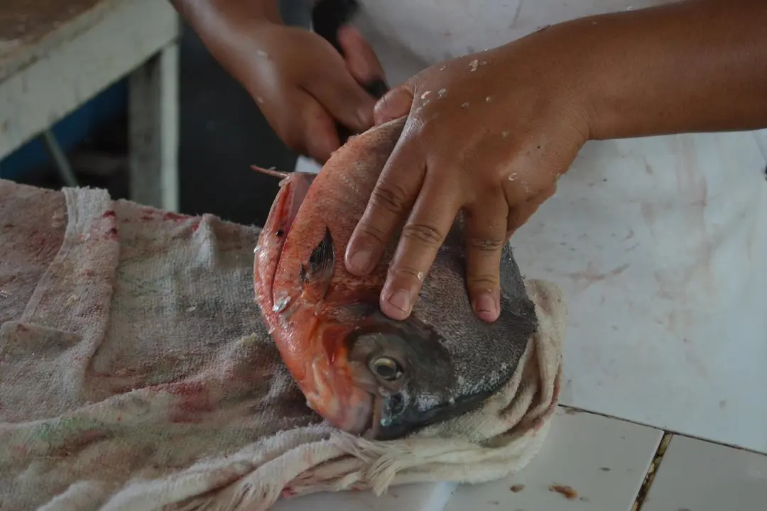 Fuente: Radio Madre de Dios.