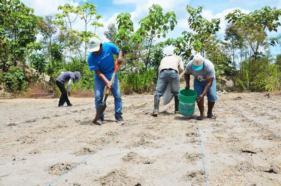 Proyecto culminará en el 2021. Fuente: IIAP