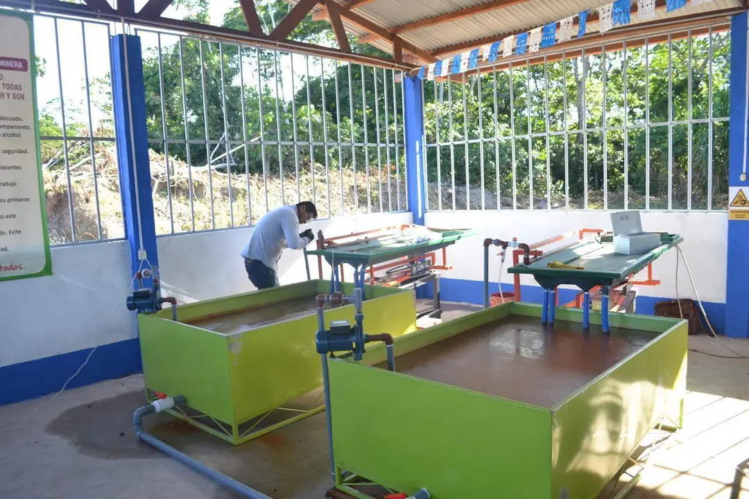 Mesa gravimetrica de Fortuna Milagritos. Fuente: Radio Madre de Dios.