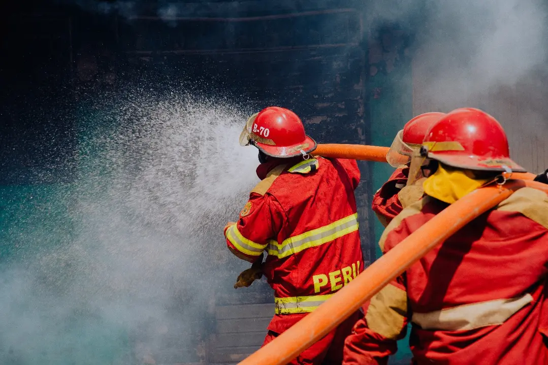 WhatsApp Image 2020-09-02 at 4.37.31 PM