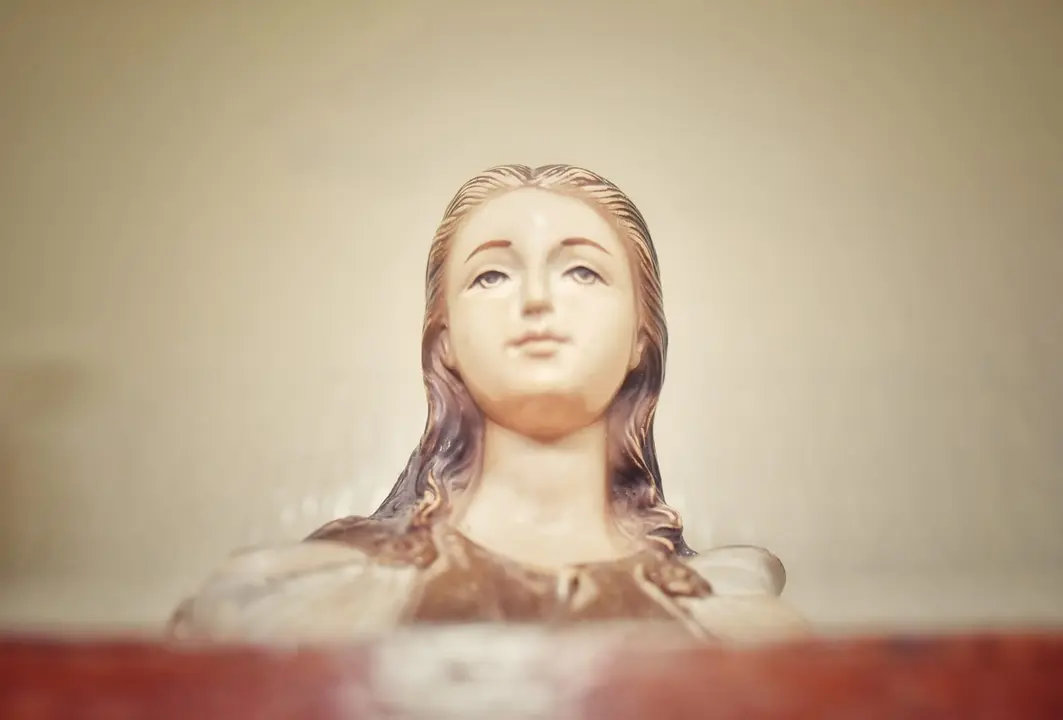 WhatsApp Image 2020-11-23 at 2.24.16 PM (1)