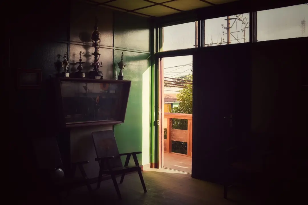 WhatsApp Image 2020-11-23 at 2.24.25 PM