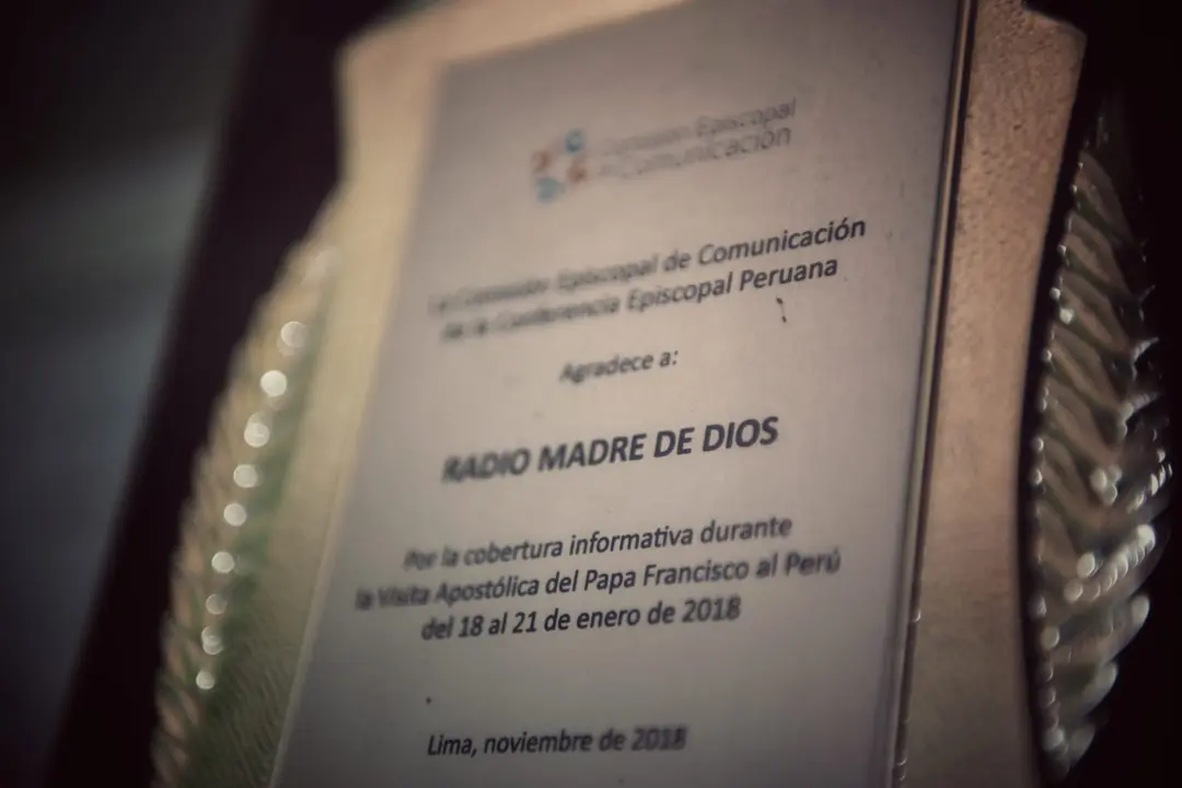 WhatsApp Image 2020-11-23 at 2.24.23 PM