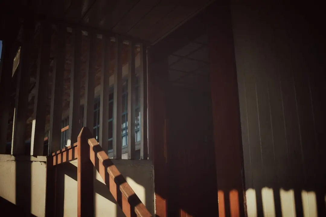 WhatsApp Image 2020-11-23 at 2.24.20 PM (1)