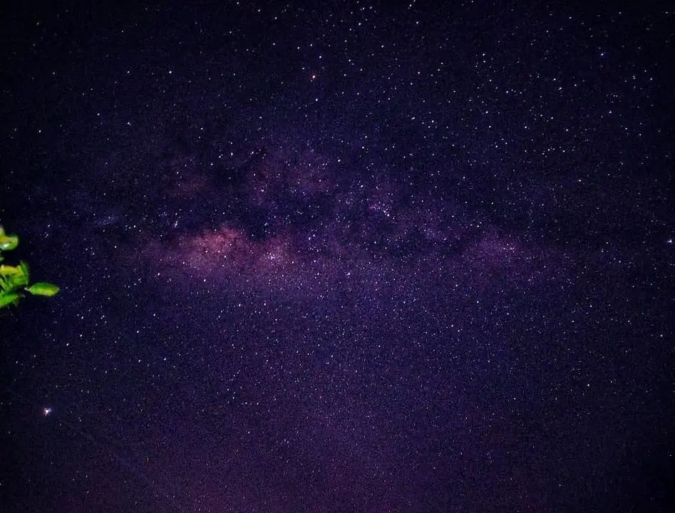 Foto: Paolo Peña.