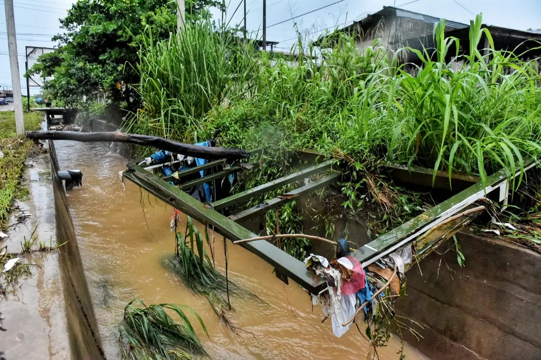 WhatsApp Image 2020-12-27 at 1.10.32 PM (1)