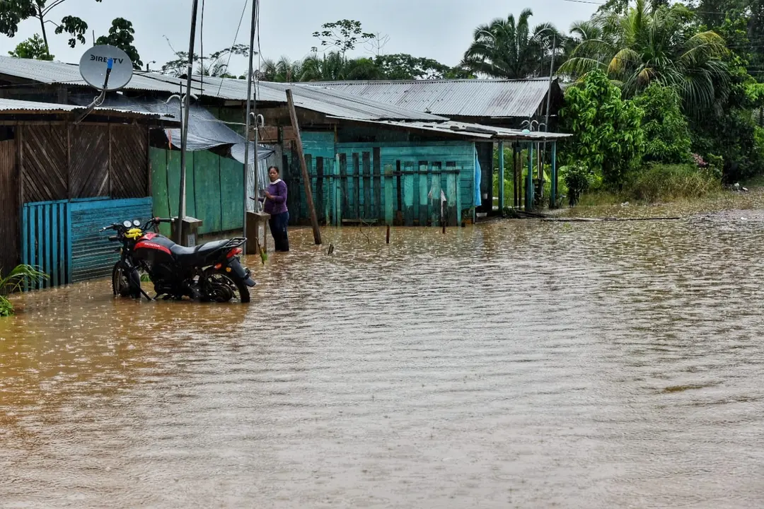 WhatsApp Image 2020-12-27 at 1.10.34 PM