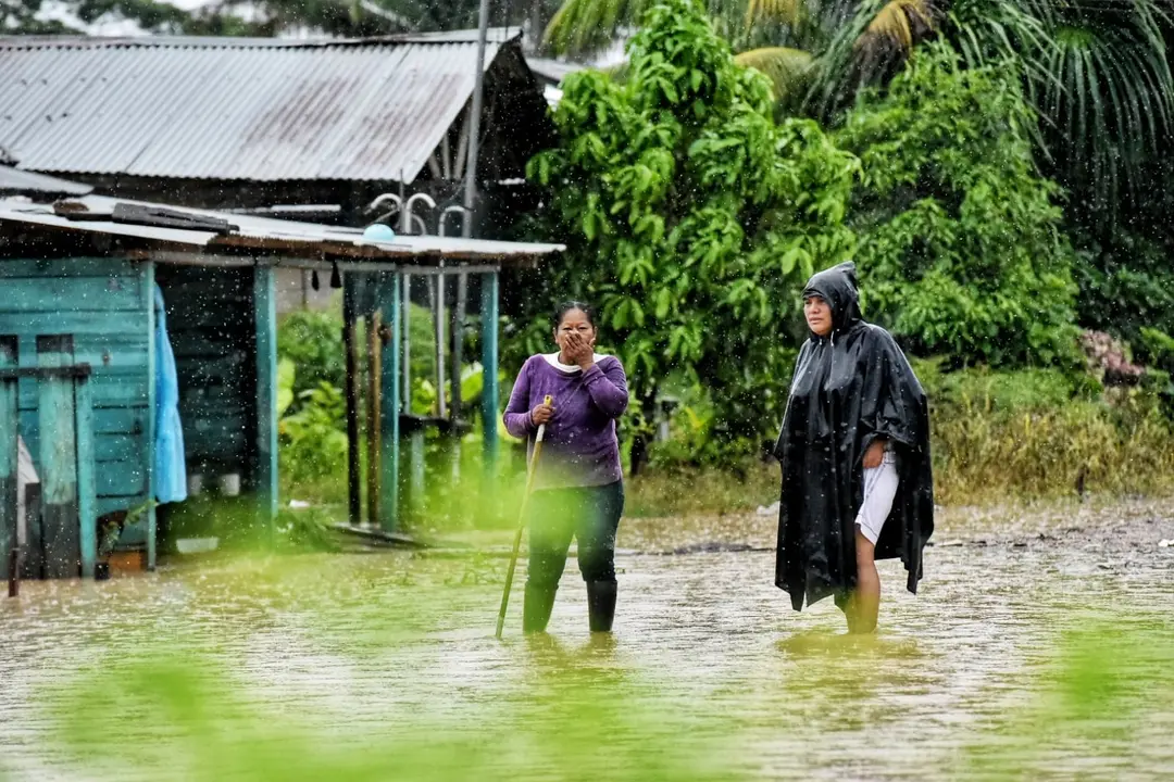 WhatsApp Image 2020-12-27 at 1.10.33 PM (3)