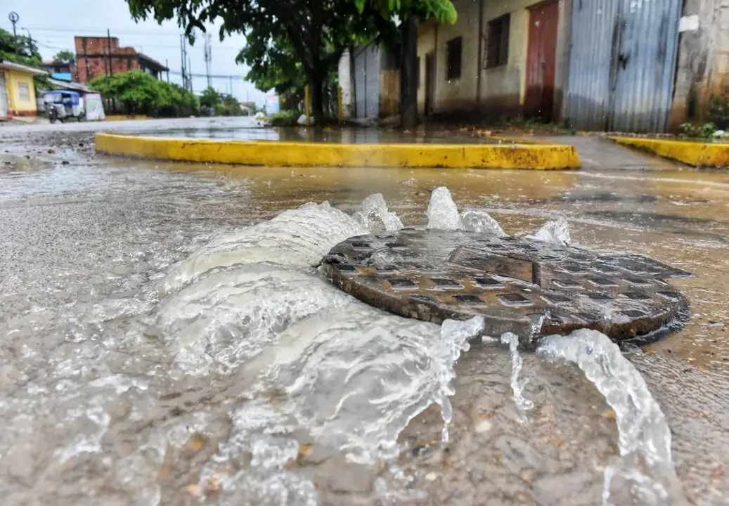 WhatsApp Image 2020-12-27 at 1.10.31 PM (3)