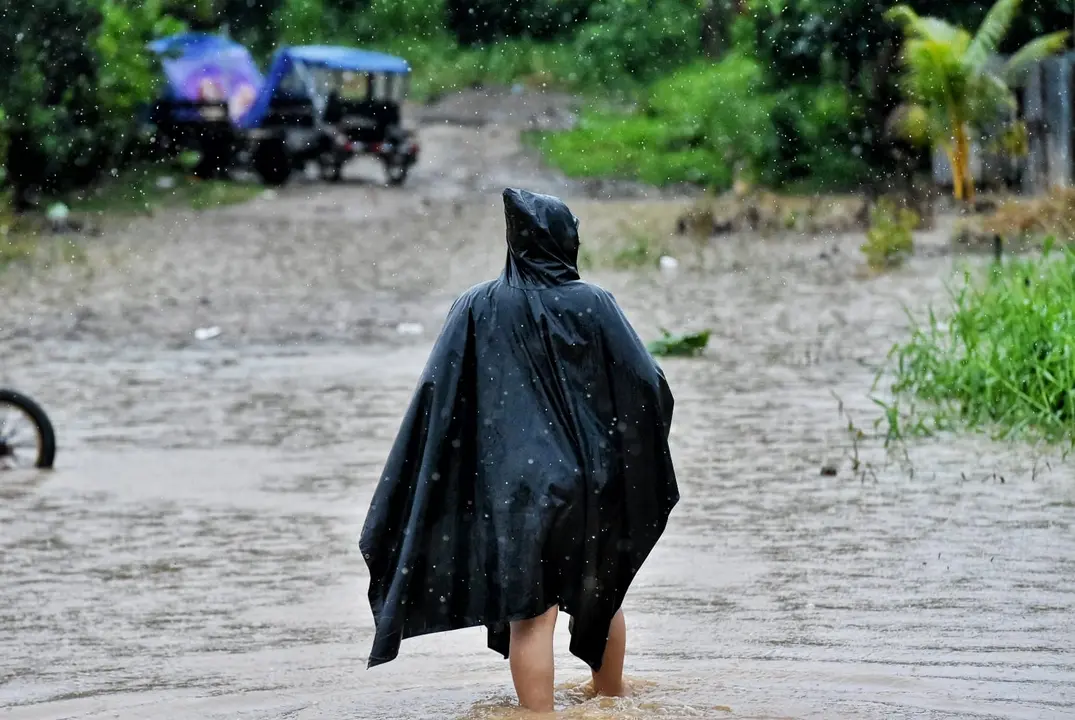 WhatsApp Image 2020-12-27 at 1.10.33 PM (1)