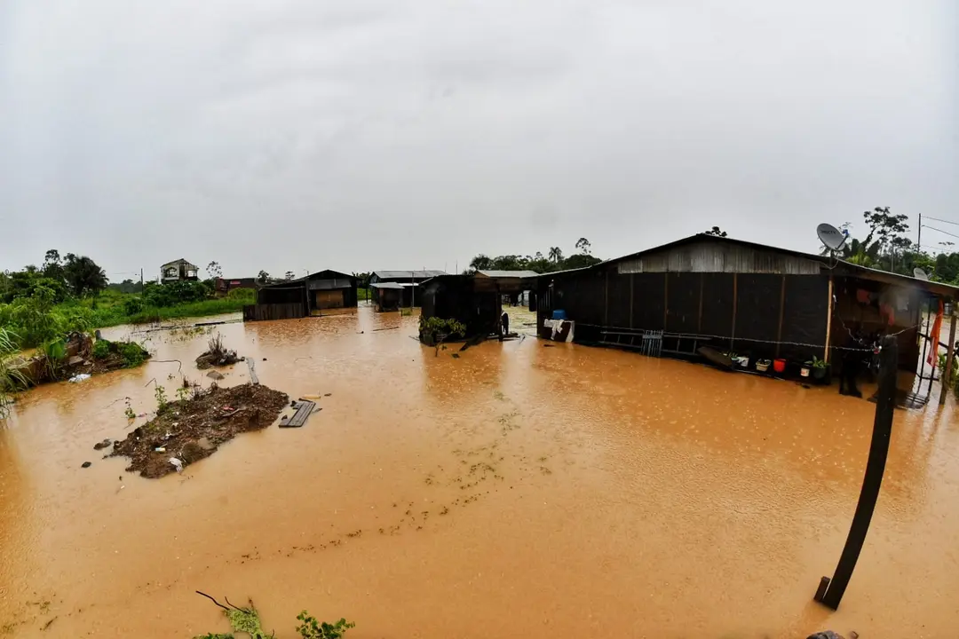 WhatsApp Image 2020-12-27 at 1.10.34 PM (1)