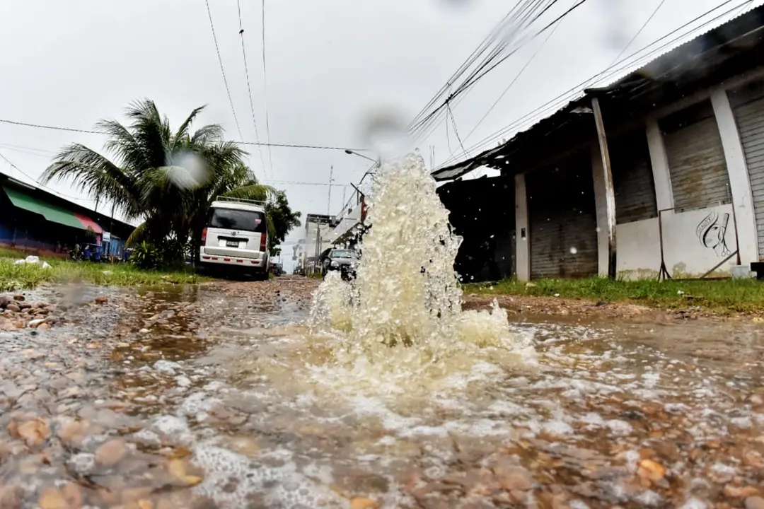 WhatsApp Image 2020-12-27 at 1.10.31 PM