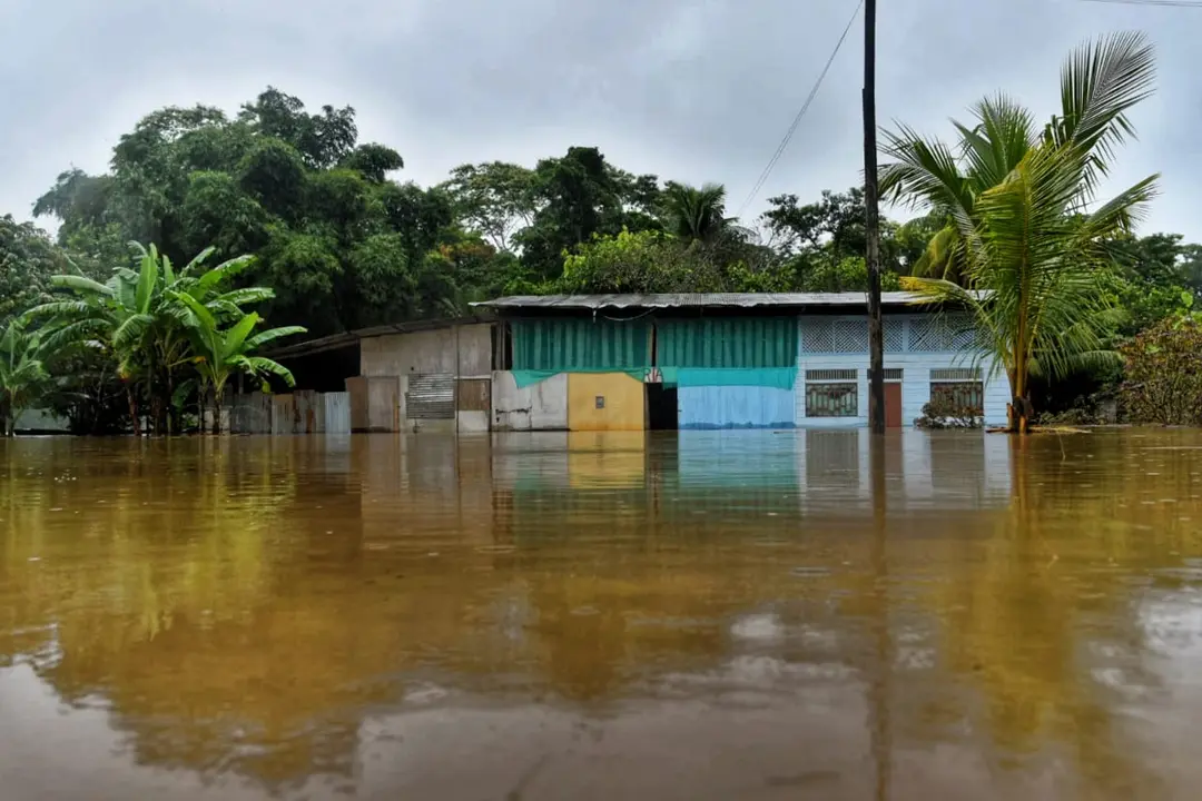 Foto: Paolo Peña.