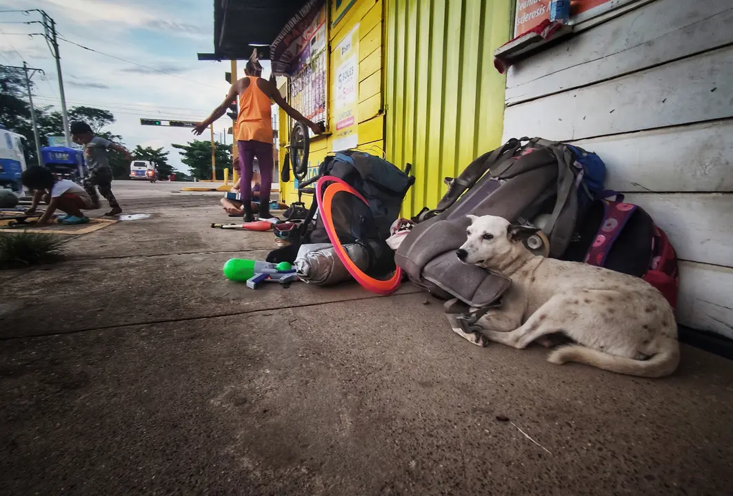 IMG_20210320_174713-01