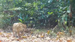 Foto: Johana Custodio