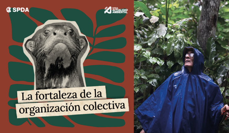 Foto: Actualidad Ambiental.