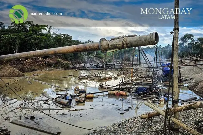 La Pampa - Así funciona el sistema de extorsiones, amenazas y asesinatos que devasta los bosques - Radio Madre de Dios.jpg