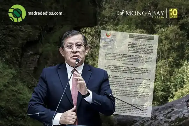 Image: composici&oacute;n Mongabay/Radio Madre de Dios