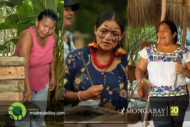 Foto: Mongabay / Radio Madre de Dios