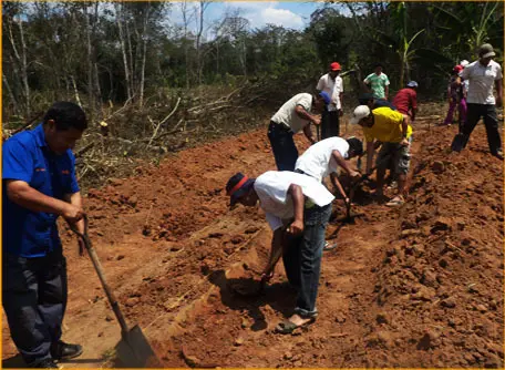 Agricultura Tahuamanu