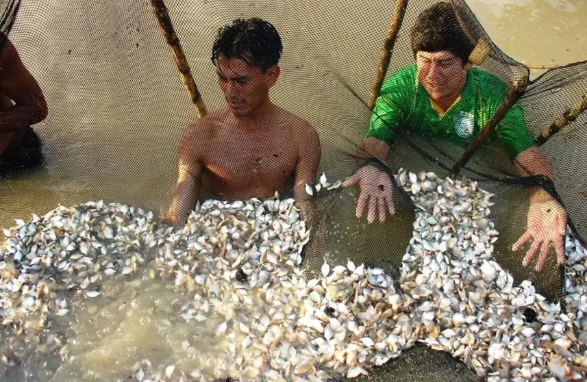Paco y gamitana