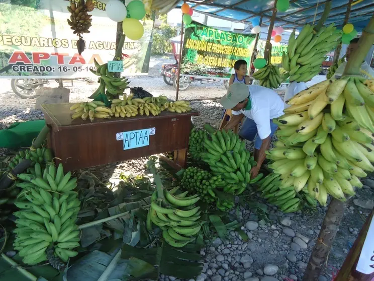 Feria agropecuaria.