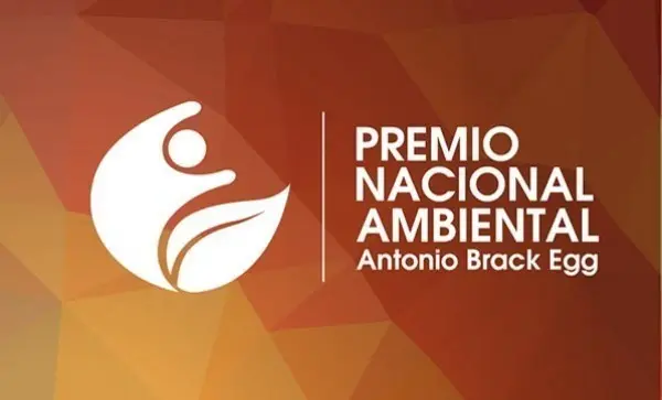 Foto: http://www.educaciontacna.edu.pe