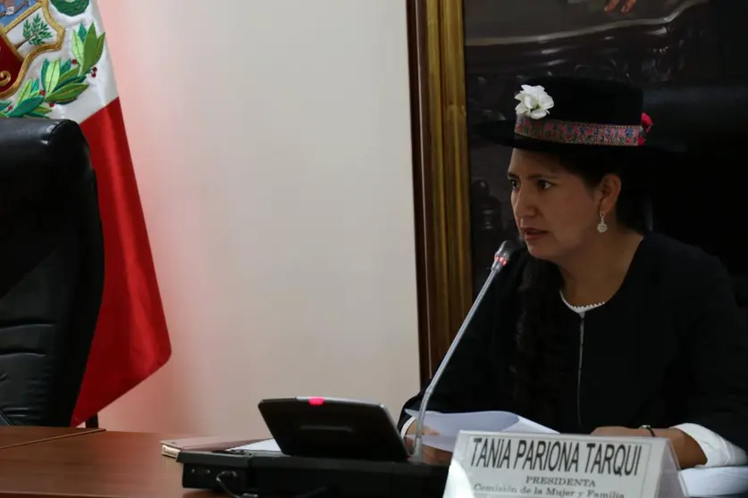 Tania Pariona presidiendo la III Sesión Ordinaria de la Comisión de Mujer y Familia. Fuente: Comisión de Mujer y Familia.