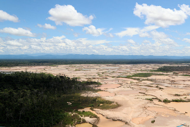 Se presentaron investigaciones científicas de reforestación en la región. Foto: Difusión.