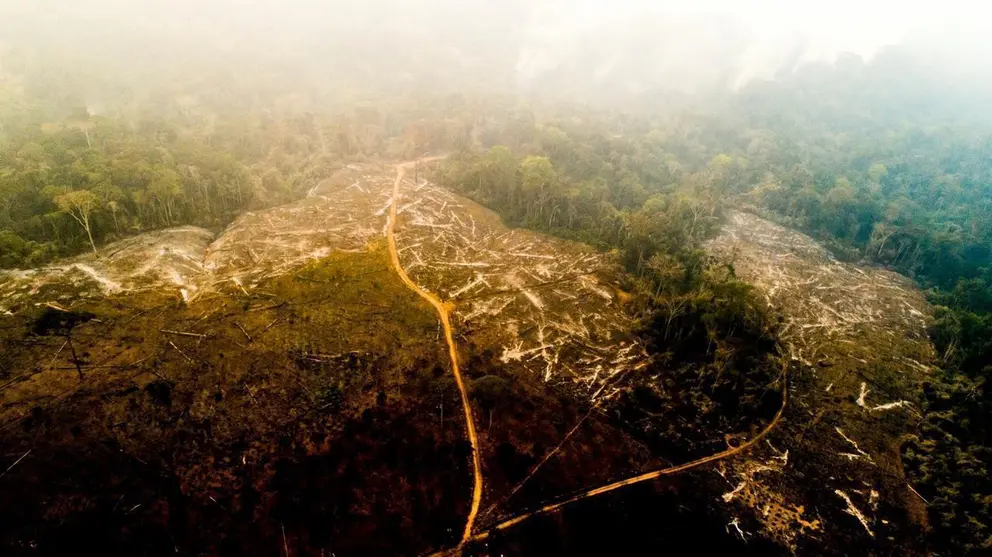 Los incendios forestales no son nuevos en el país, estos se presentan en esta época del año debido a las sequías. Foto: Difusión.