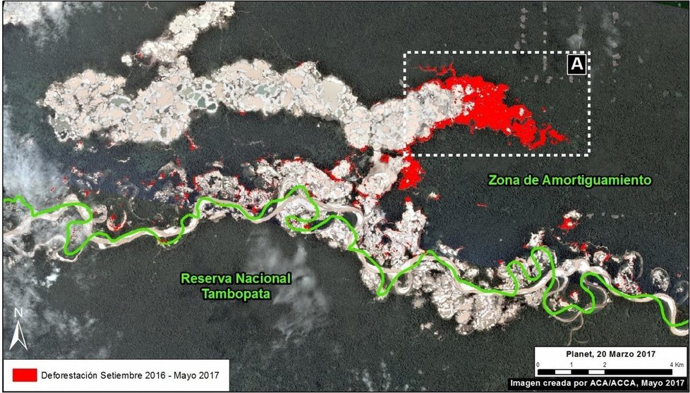 Sector deforestado en los últimos 8 meses.
Imagen: Monitoring of the Andean Amazon Project
