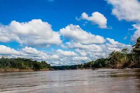 Imagen referencial. Fuente: Corredor Turístico Tambopata.
