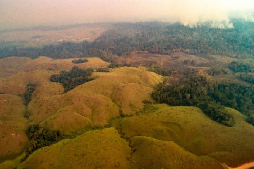 El Centro de Operaciones de Emergencia Regional Madre de Dios señaló que el incendio forestal de grandes proporciones que se registra en Brasil no se ha llegado a la frontera peruana. Foto: Agencia Andina.

