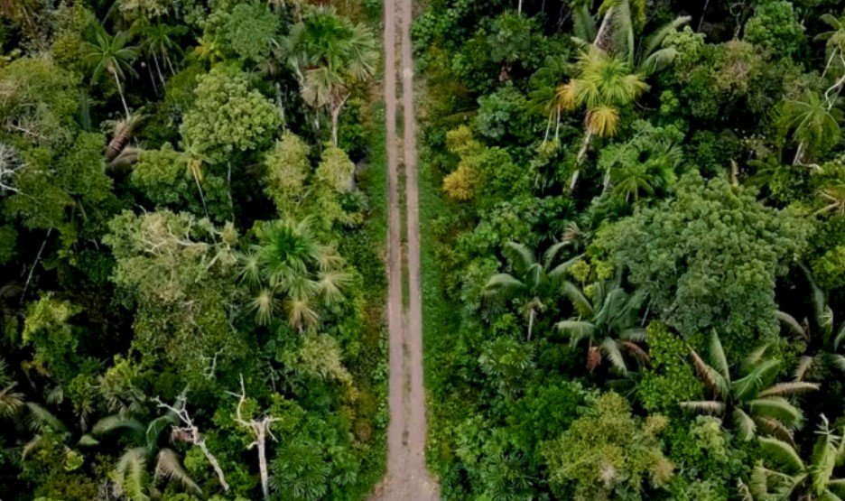 La carretera a través de Manu ha sido un tema controvertido durante muchos años y se cree que podría aumentar las actividades ilegales en la región. Foto cortesía de Eilidh Munro.