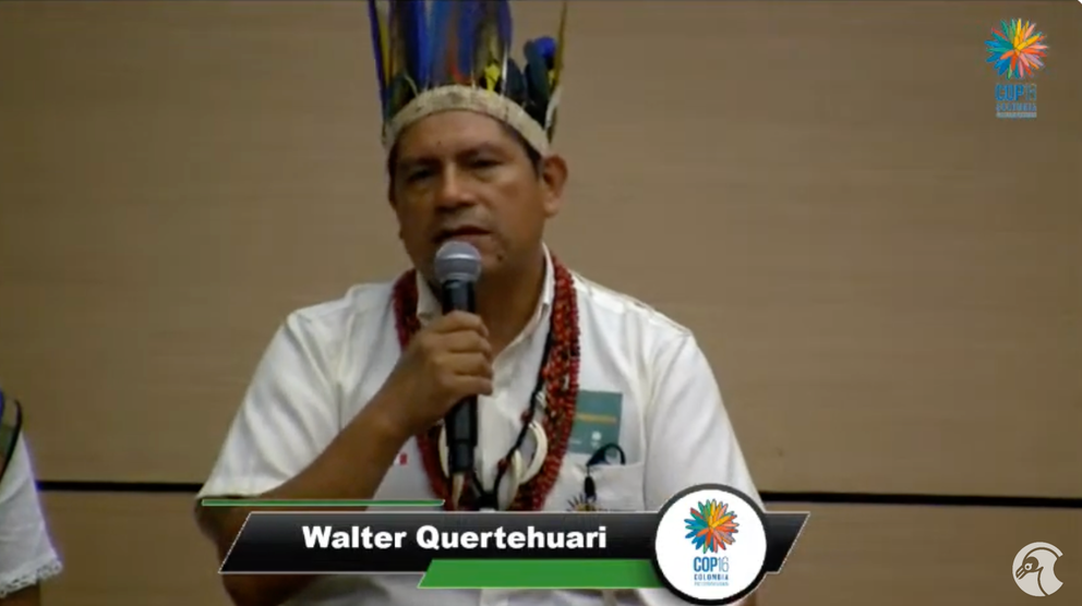 walter-quertehuari-cop16-captura.png