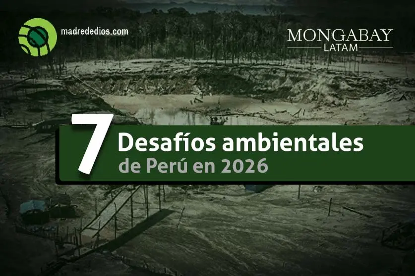 Foto: Mongabay Latam