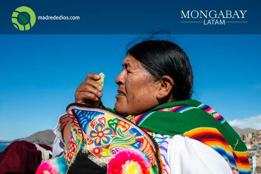 Foto: Mongabay Latam