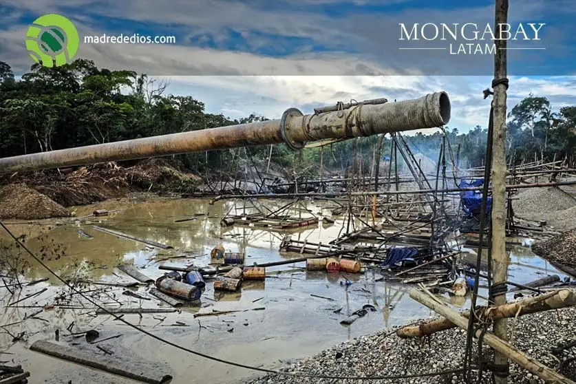 La Pampa - Así funciona el sistema de extorsiones, amenazas y asesinatos que devasta los bosques - Radio Madre de Dios.jpg