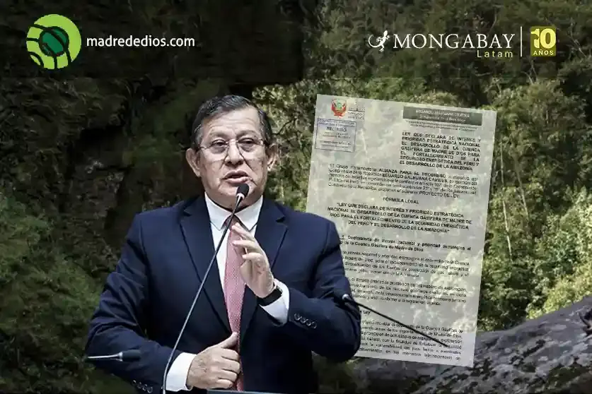 Image: composici&oacute;n Mongabay/Radio Madre de Dios