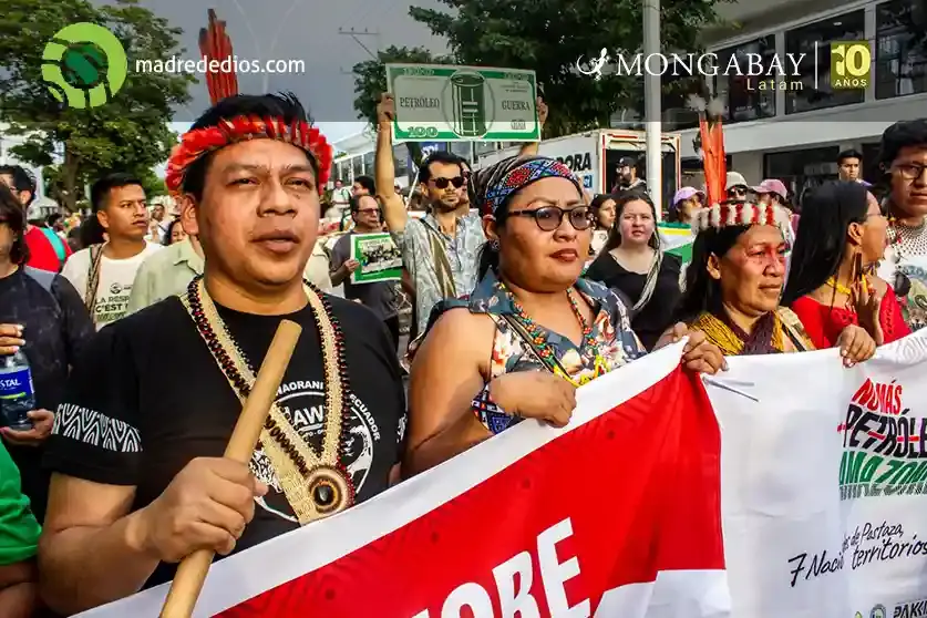 Foto: Mongabay / Radio Madre de Dios
